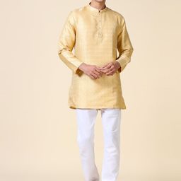 TATTVA Ethnic Motifs Woven Design Mandarin Collar Zari Straight Short Kurta-image-88