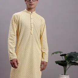 Jompers Ethnic Thread Work Mandarin collar Pure cotton Straight Kurta-picture-43