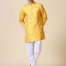 TATTVA Woven Design Mandarin Collar Straight Kurta-picture-15