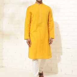 Fabindia Mandarin Collar Cotton Strigth Kurta-image-88