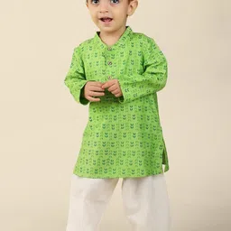 Fabindia Boys Ethnic Motifs Printed Kurta-picture-22