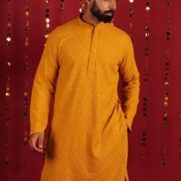 Lightpole Embroidered Mandarin Collar Straight Kurta-image-44