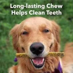 vjoy Pet Products Munchy Twisted & Healthy Chew Stick Multi Flavor Dog Treat Mutton, Chicken Dog Chew image 3