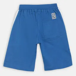 Blue Giraffe Boys Blue Solid Regular Fit Regular Shorts-picture-44