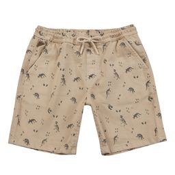 Gini and Jony Boys Conversational Printed Cotton Regular Shorts-1