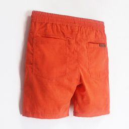 Cherry Crumble Boys Drawstring Regular Shorts image 2