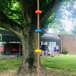Climbing Rope Monkey Swing with Platforms and Hanging Disc-14