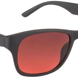 Gradient Wayfarer Sunglasses (Free Size)-image-29