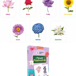 spartan kids Flash card For Kids Early Learning Easy & Fun way of Learning(set of 5) image 2