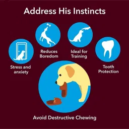 slatters be royal store Dog Pet Food Press Bone Calcium & Twisted Chicken Dog Chew 3 Inch Pack of 36 Chicken Dog & Cat Chew image 2