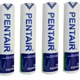 PENTAIR Water Filter Candle Cartridge Suitable for All Water Purifier 10inch_N24 Solid Filter Cartridge-image-5