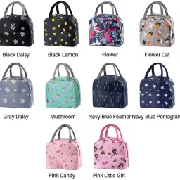 Insulated Lunch/Tiffin Bag Leakproof Hot/Cold for Office,School unisex Waterproof Lunch Bag-image-52