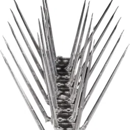 Bird Spike-14