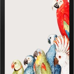 Acrylic Wall Photo Frame-image-4