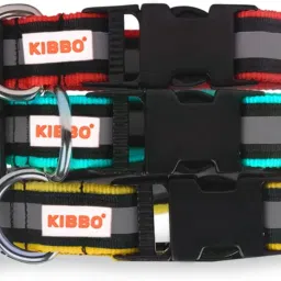 Reflective Strip Super Quality Nylon Lightweight and Flexible Dog Everyday Collar-12