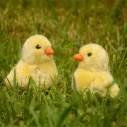 Wind Up Toy | Chick Stuffed Animal | Chicken Plush Kids Toddlers (Pack of 2)-image-88