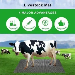 Cow mat Premium Black for all animals Size 8*5 Cow, Dog, Hamster, Guinea Pig, Miniature Pig Pet Mat-image-45
