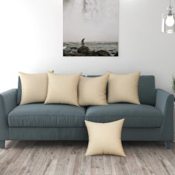 Velvet Cushions & Pillows Cover-image-1