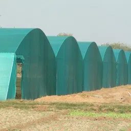 20*15 Insect Net-18