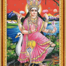 Manasa Devi 135 inch Digital-picture-39