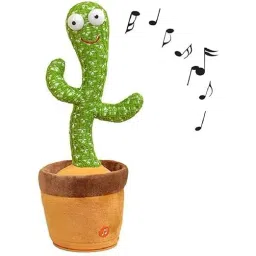 Dancing Cactus 004-image-14