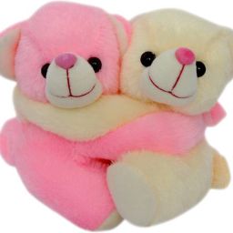 Couple Teddy Bear Soft Toy - 9 inch-10