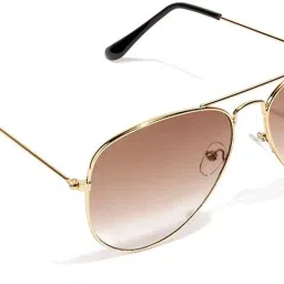 Aviator Sunglasses (Free Size)-image-84