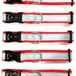 Dog & Cat Everyday Collar-picture-24