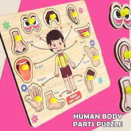 Montessori Learning Toys Human Body Parts Name Chart Puzzle Board With Picture-15