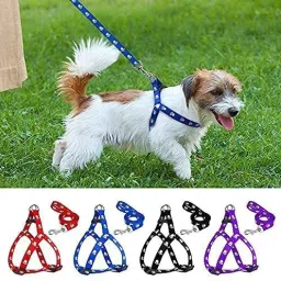 1 pcs 15 mm Paw Print Leash and Harness Set for Small ,Medium Puppy Dog & Cat Harness & Leash-image-18