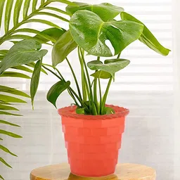 Kuber Industries Red & Grey 3 Pieces Brick Patterned Planters-84
