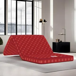USHA SHRIRAM Maroon Quilted 3 Fold Reversible SingleMattress-image-45