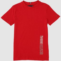 Tommy Hilfiger Boys Brand Logo Printed Round Neck Cotton T-shirt-picture-28