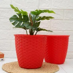 gold dust Red Plastic (Set of 2) Desk Pots-picture-29