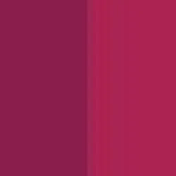 PRIVIU All Day Matte Pink & Maroon Set of 2 Matte Liquid Lipstick - Bold Ruby, Just Mauve image 4