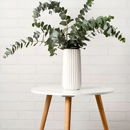 ArteCasa Green Dried Flower Eucalyptus-picture-34