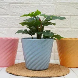 gold dust Multicolour Plastic (Set of 3) Desk Pots-picture-35