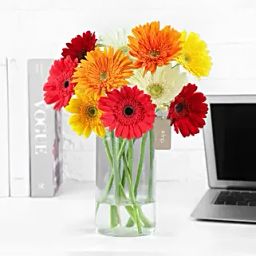 Cheerful Gerbera Blossoms Vase-image-98