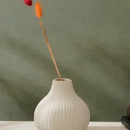 PUREZENTO 1 Piece Striped Ceramic Flower Vase-image-65