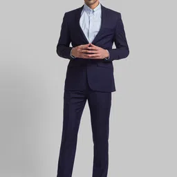 Raymond Men Single Breasted Two Piece Formal Suit-image-77