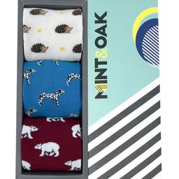 Mint & Oak Men Pack of 3 Multicolored Above Ankle Socks-23