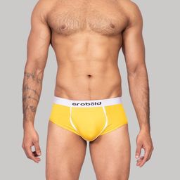 EROBOLD Men Seamless Basic Briefs MBR-BR13LM1CS01-image-40