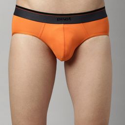 pivot Men Mid Rise Basic Briefs-picture-31