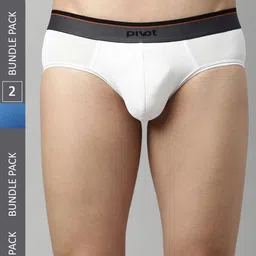 pivot Men Pack Of 2 Assorted Basic Briefs-13