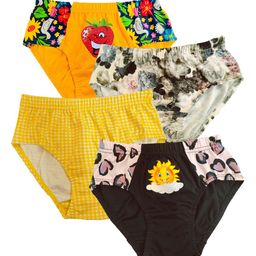 BAESD Girls Pack Of 4 Assorted Pure Cotton Hipster Briefs-59