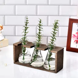 TAYHAA Brown 3 Pcs Wooden Holder With Transparent Vases-14
