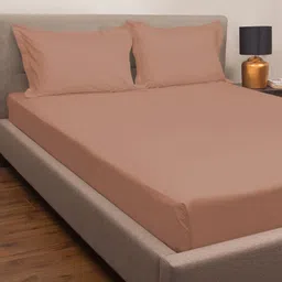 PETAL HOME Peach 300 TC Peach 100% Cotton Queen Size Bed Sheet with 2 Pillow Covers-picture-53