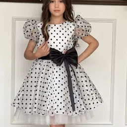 Miss & Chief Polka Dot Print Net A-Line Dress-20