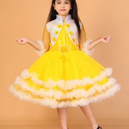 Jhilik Garments Girls Net Fit and Flare Dress-picture-52