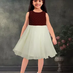 Toonyport Girls Embellished Net Tulle Fit & Flare Dress-image-65